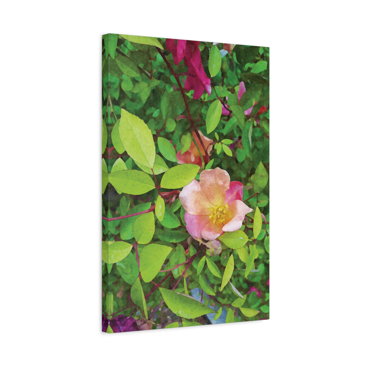 Stretched Matte Canvas - Flower of Rose