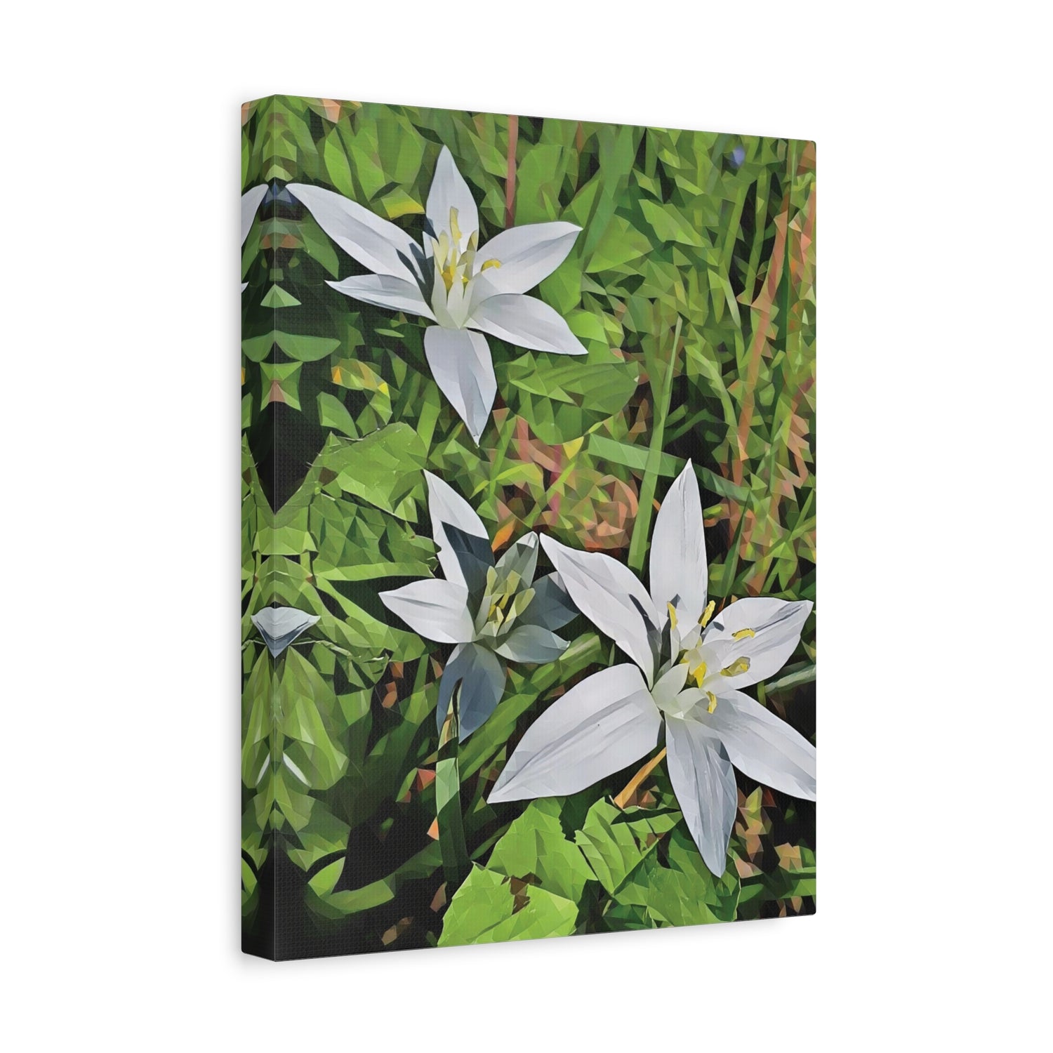 Stretched Matte Canvas - Poly Art - Flower of Ornithogalum (Variant 1)