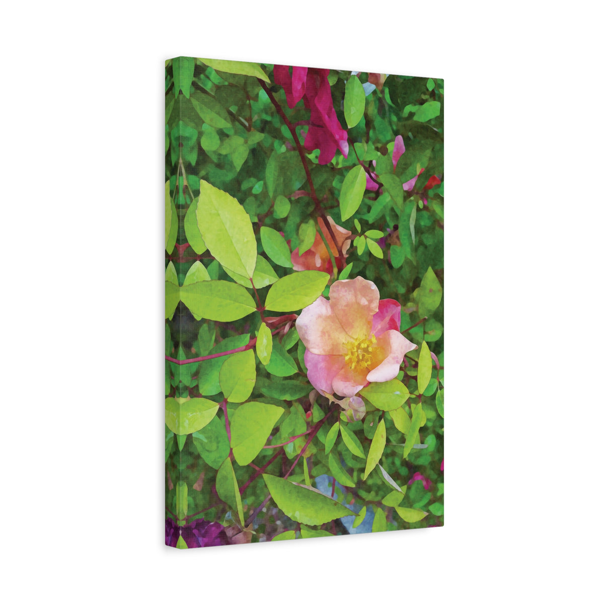 Stretched Matte Canvas - Flower of Rose