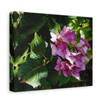 Stretched Matte Canvas - Flower of Ortensia/Hydrangea Macrophylla