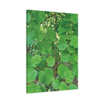 Stretched Matte Canvas - Tilia Tree Leaves