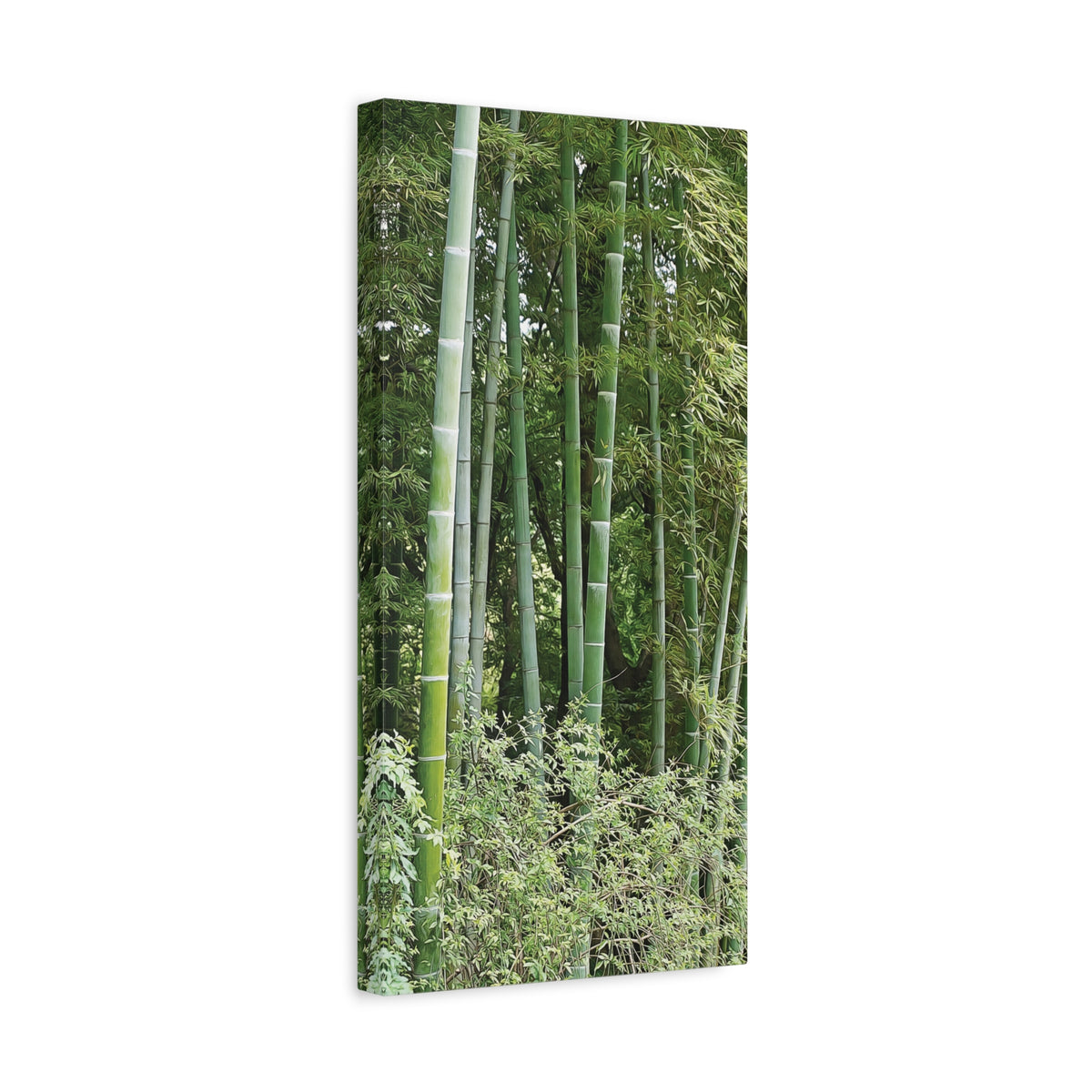Stretched Matte Canvas - Bamboo (Variant 1)