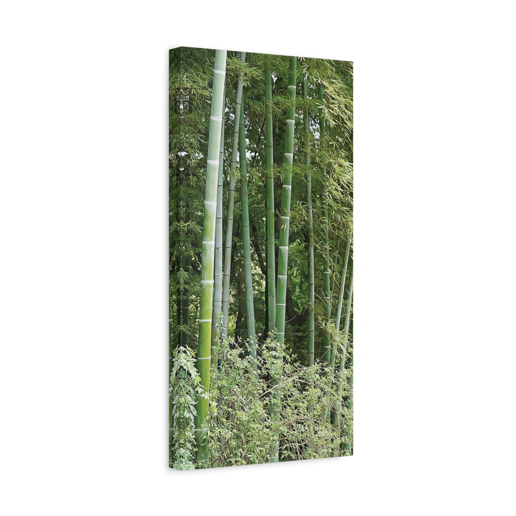 Stretched Matte Canvas - Bamboo (Variant 1)