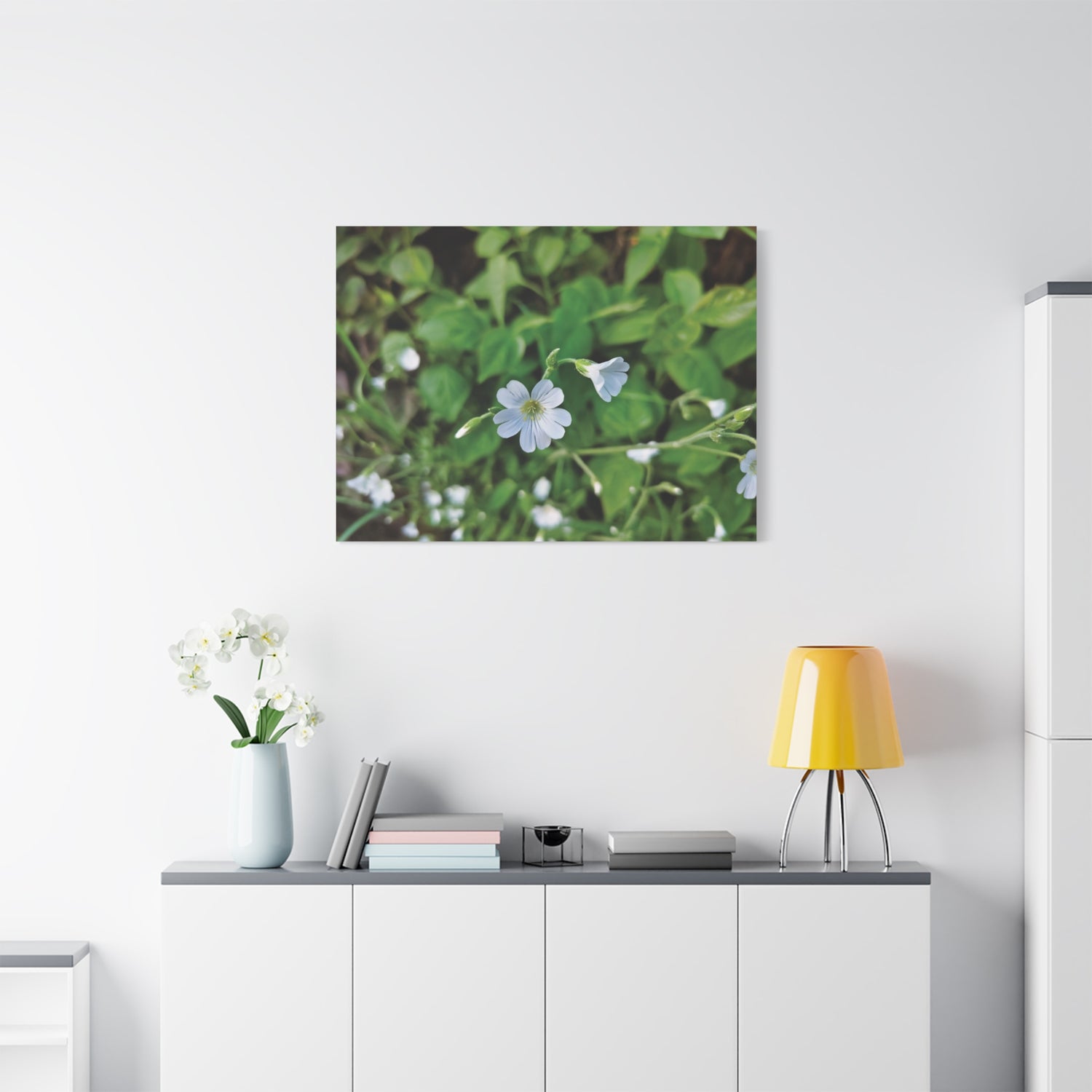 Stretched Matte Canvas - Flower of  Cerastium Arvense