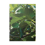 Hardcover Notebook with Puffy Covers - Fig's Plant, with Fruits and Leaves