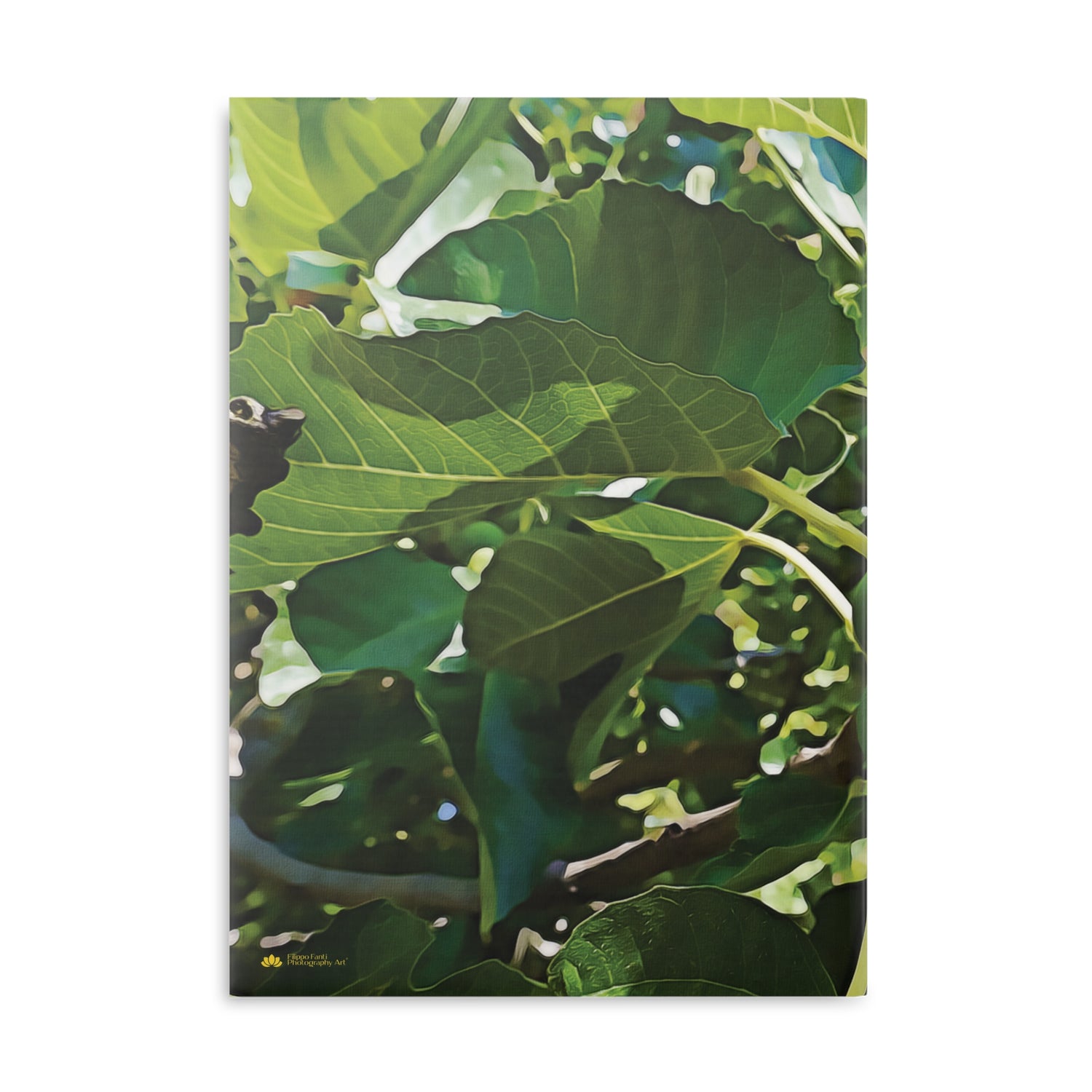 Hardcover Notebook with Puffy Covers - Fig's Plant, with Fruits and Leaves