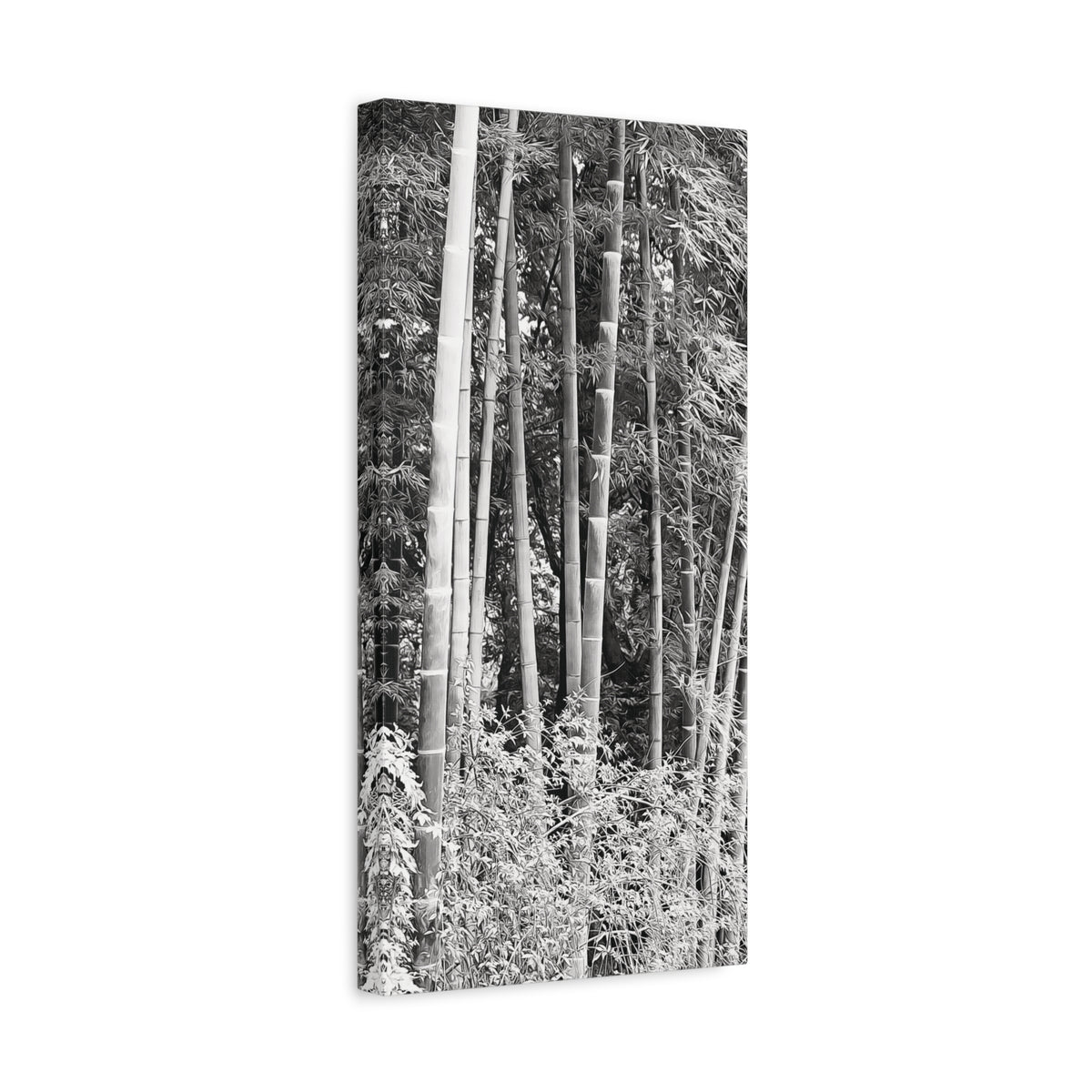 Stretched Matte Canvas - Bamboo (B&W variant)
