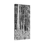 Stretched Matte Canvas - Bamboo (B&W variant)