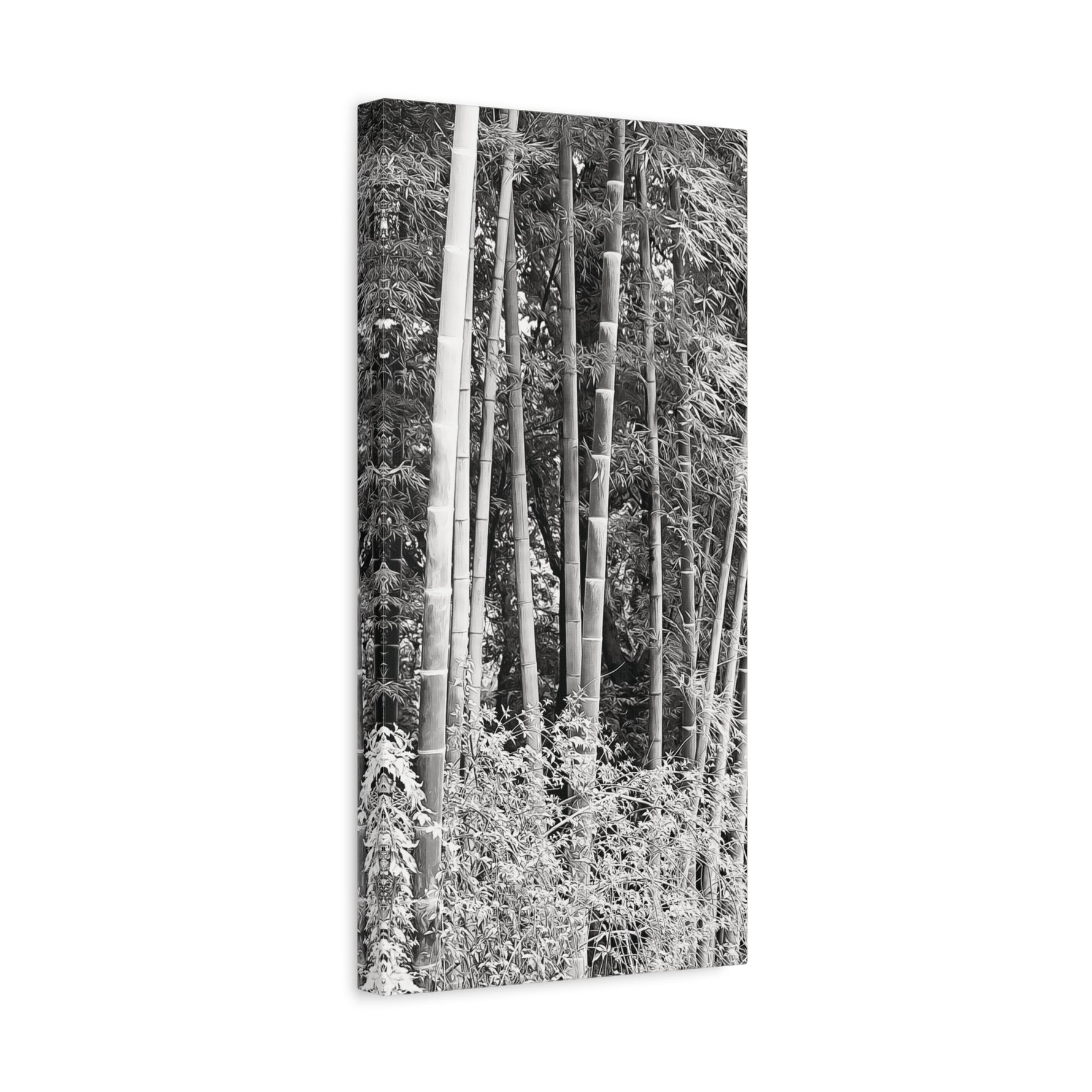 Stretched Matte Canvas - Bamboo (B&W variant)
