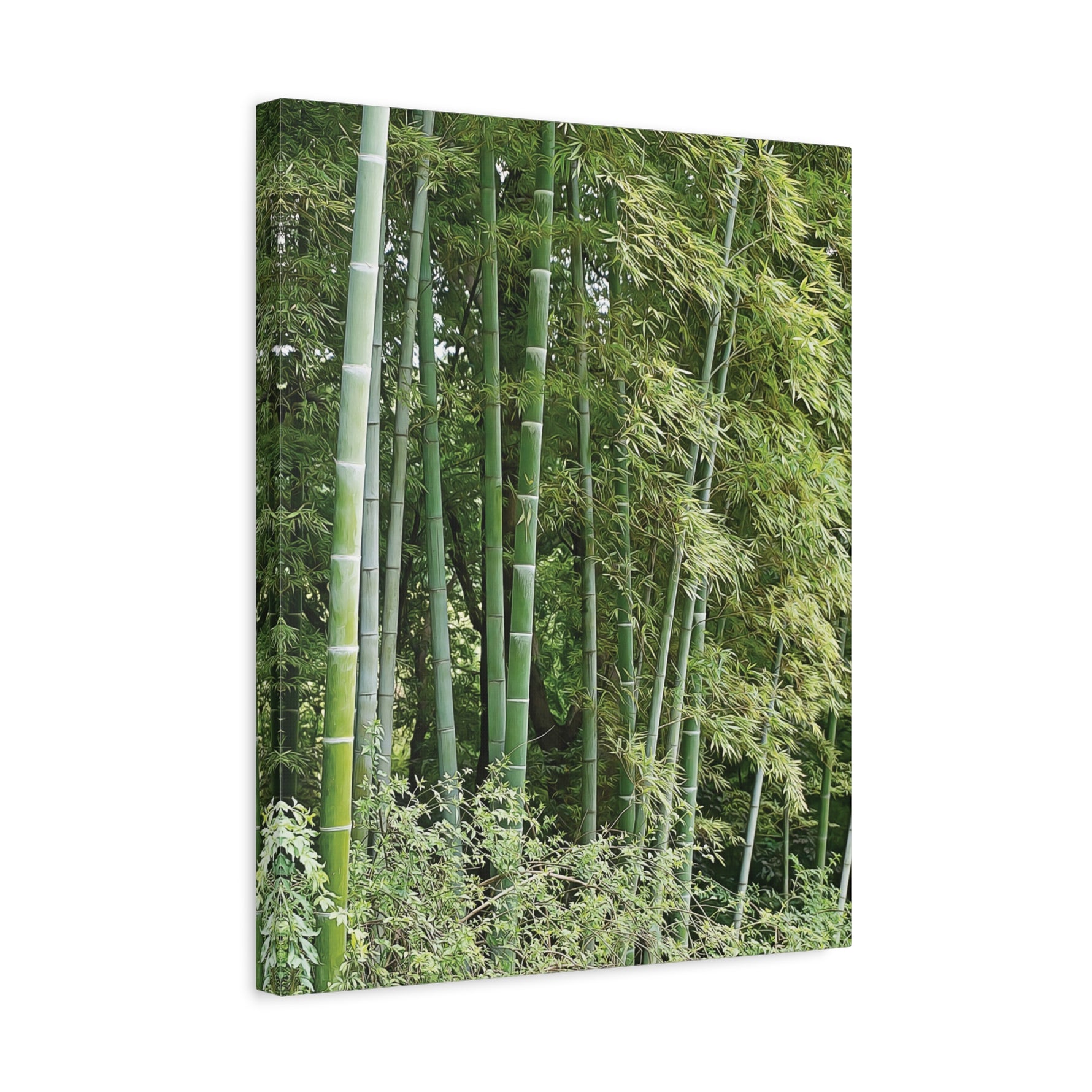 Stretched Matte Canvas - Bamboo (Variant 1)