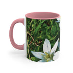 Mug 11oz - Flower of Ornithogalum