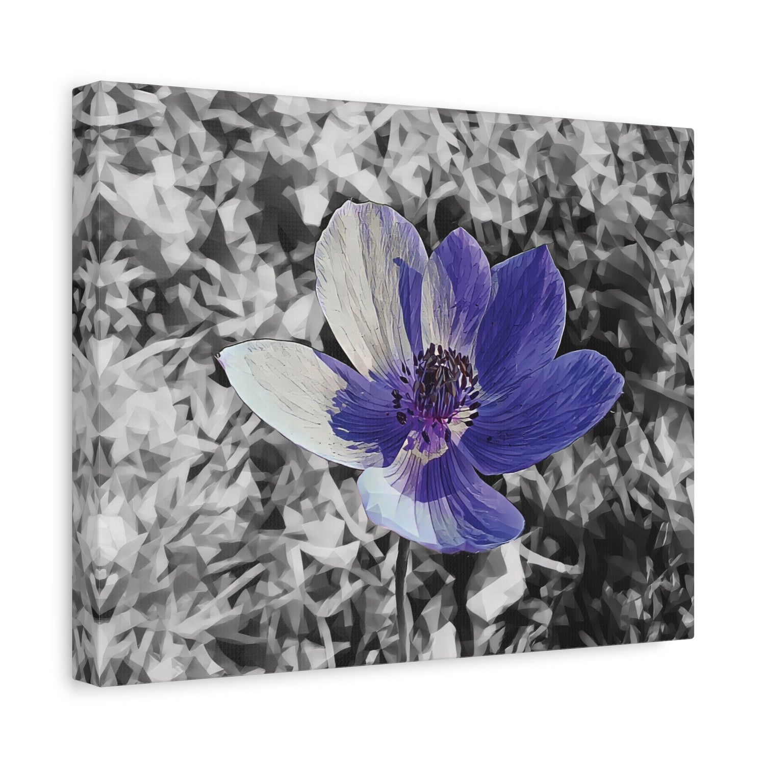 Stretched Matte Canvas - Poly Art - Flower of Anemone