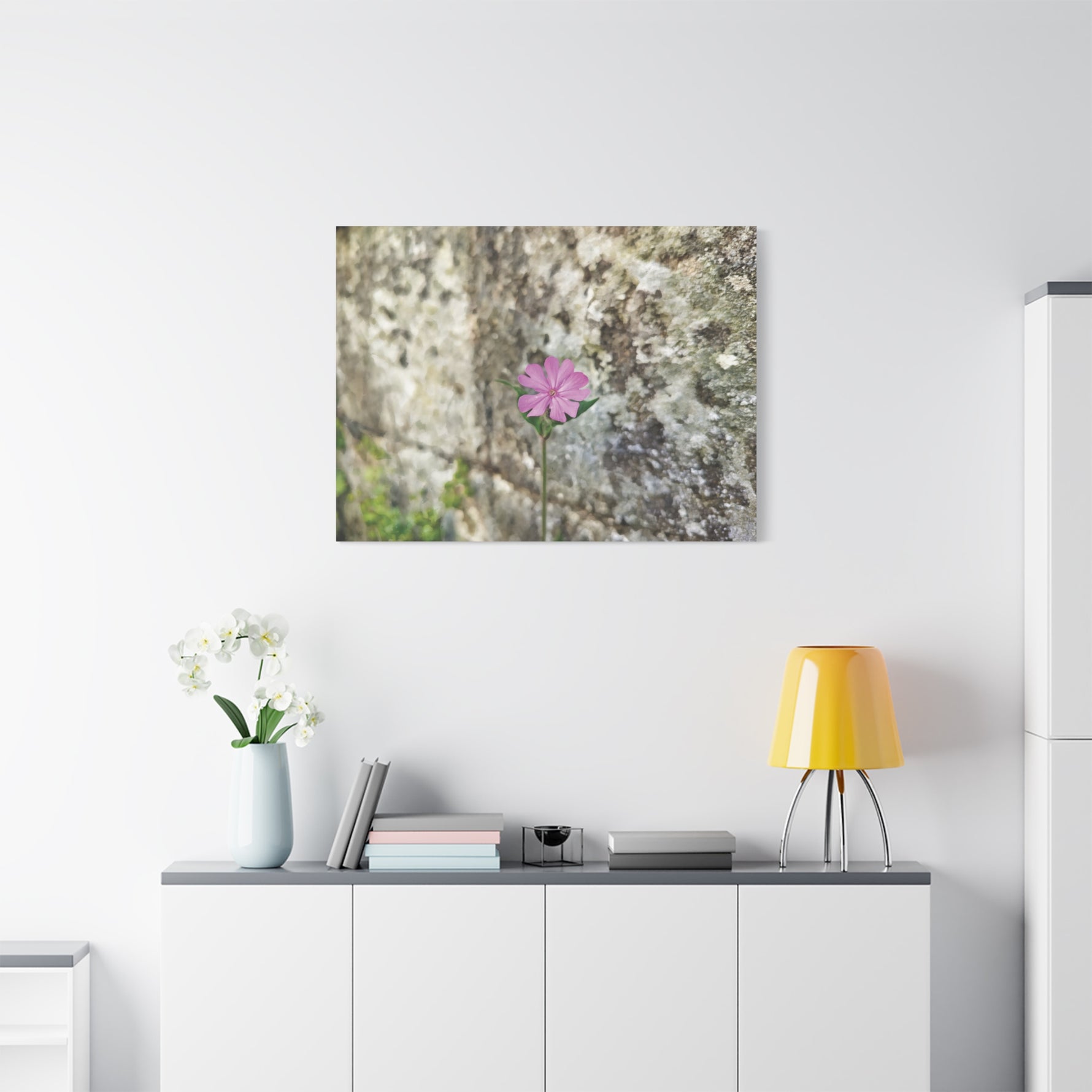 Stretched Matte Canvas - Flower of Silene Dioica (Variant 1)