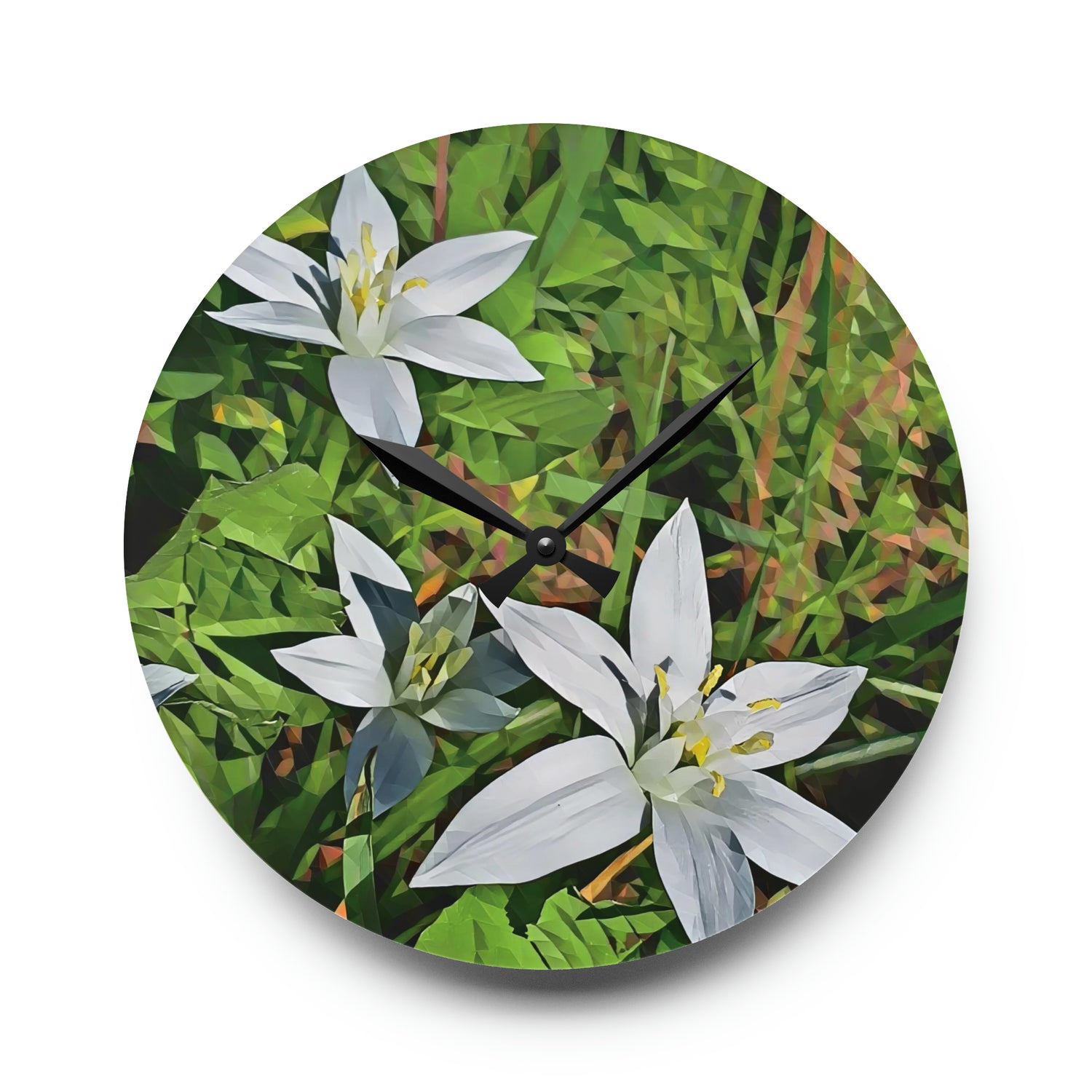Acrylic Wall Clock - Poly Art - Flower of Ornithogalum (Variant 1)