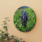 Acrylic Wall Clock - Poly Art - Flower of Muscari