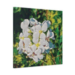 Stretched Matte Canvas - Poly Art - Flower, White