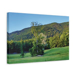 Stretched Matte Canvas - Tree in a lawn (Variant 3)