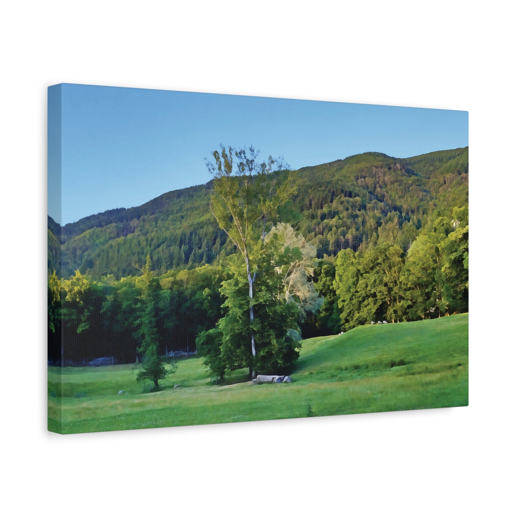 Stretched Matte Canvas - Tree in a lawn (Variant 3)