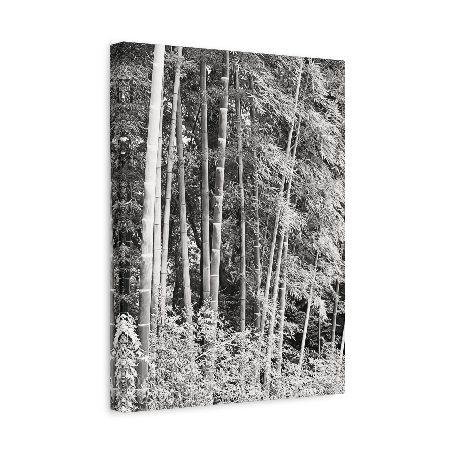 Stretched Matte Canvas - Bamboo (B&W variant)