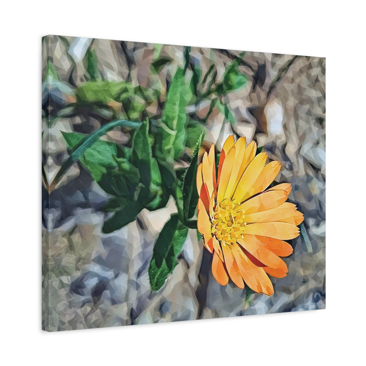 Stretched Matte Canvas - Poly Art - Flower of Calendula (Variant 2)