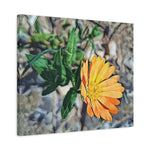 Stretched Matte Canvas - Poly Art - Flower of Calendula (Variant 2)