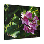 Stretched Matte Canvas - Flower of Ortensia/Hydrangea Macrophylla