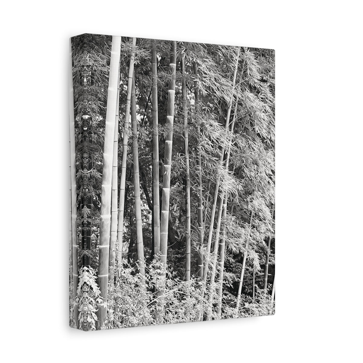 Stretched Matte Canvas - Bamboo (B&W variant)