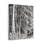 Stretched Matte Canvas - Bamboo (B&W variant)
