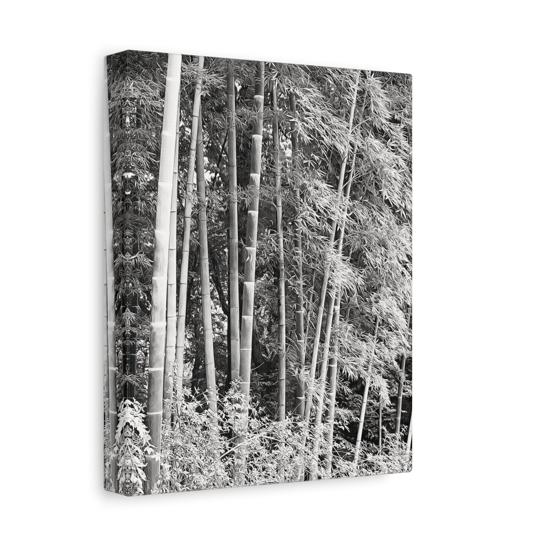 Stretched Matte Canvas - Bamboo (B&W variant)