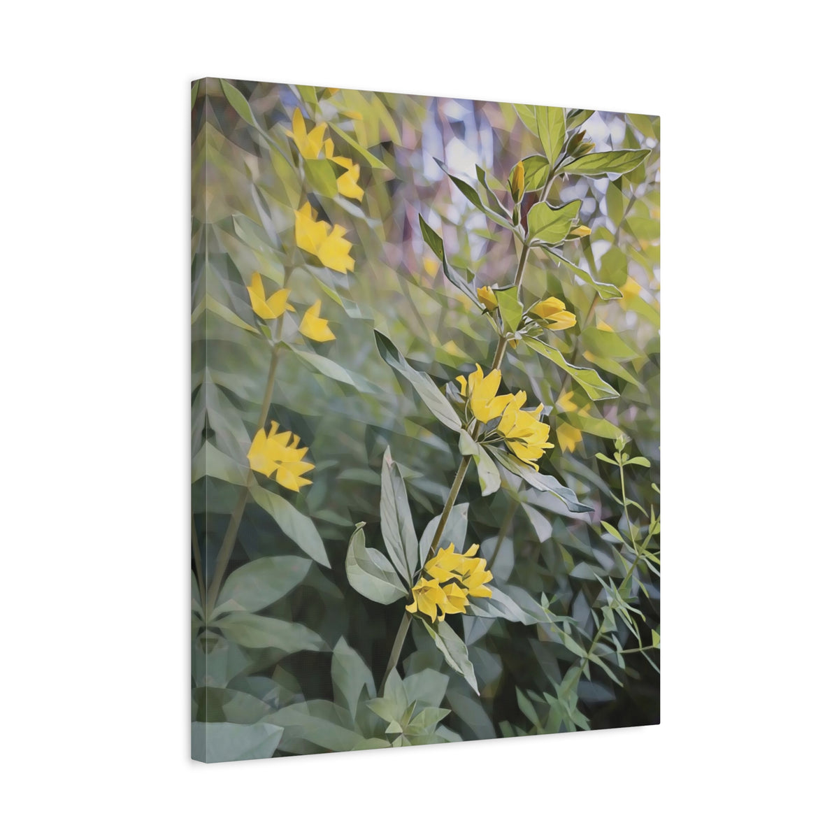 Stretched Matte Canvas - Poly Art - Flower of Lysimachia