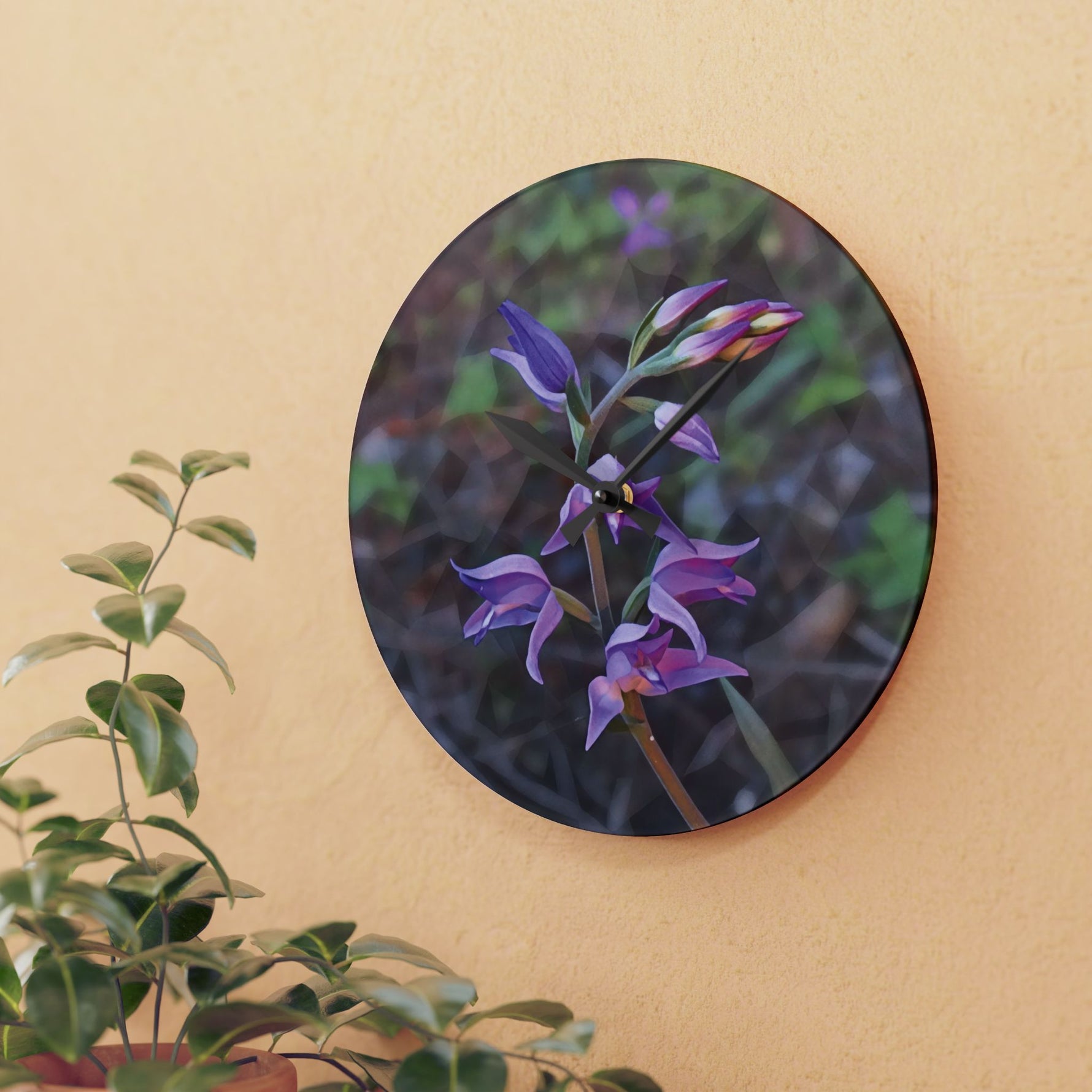 Acrylic Wall Clock - Poly Art - Flower of Cephalanthera Rubra