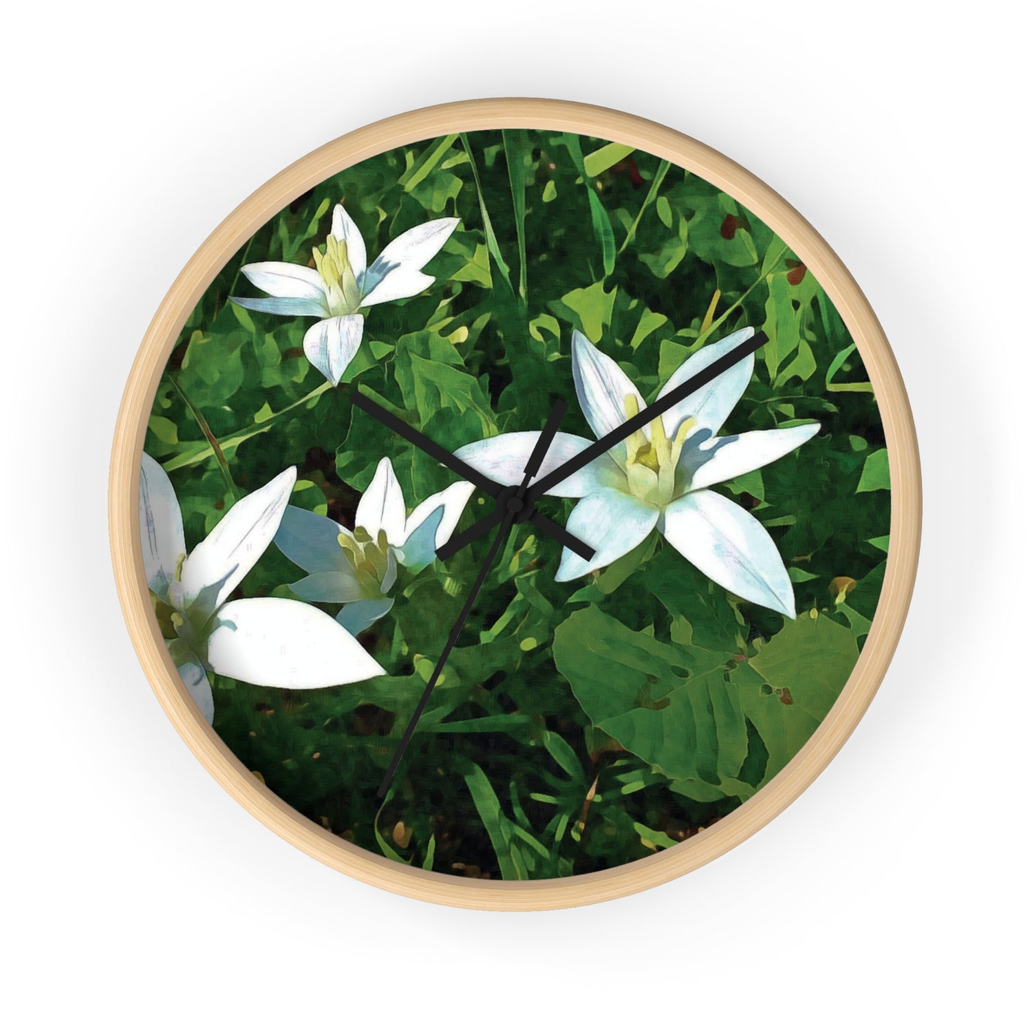 Wall Clock - Flower of Ornithogalum (Variant 2)