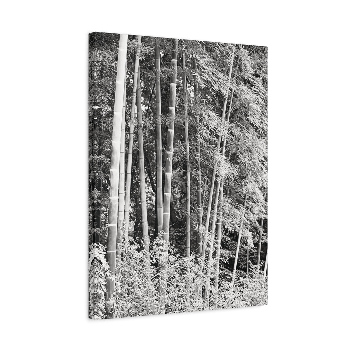 Stretched Matte Canvas - Bamboo (B&W variant)