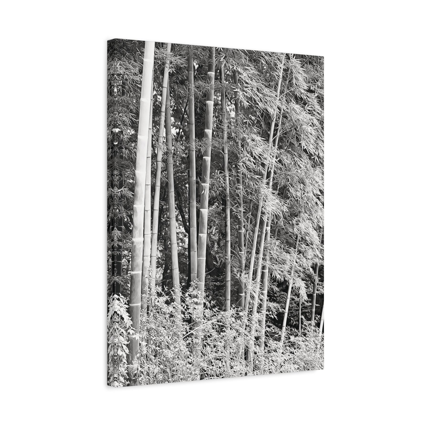 Stretched Matte Canvas - Bamboo (B&W variant)