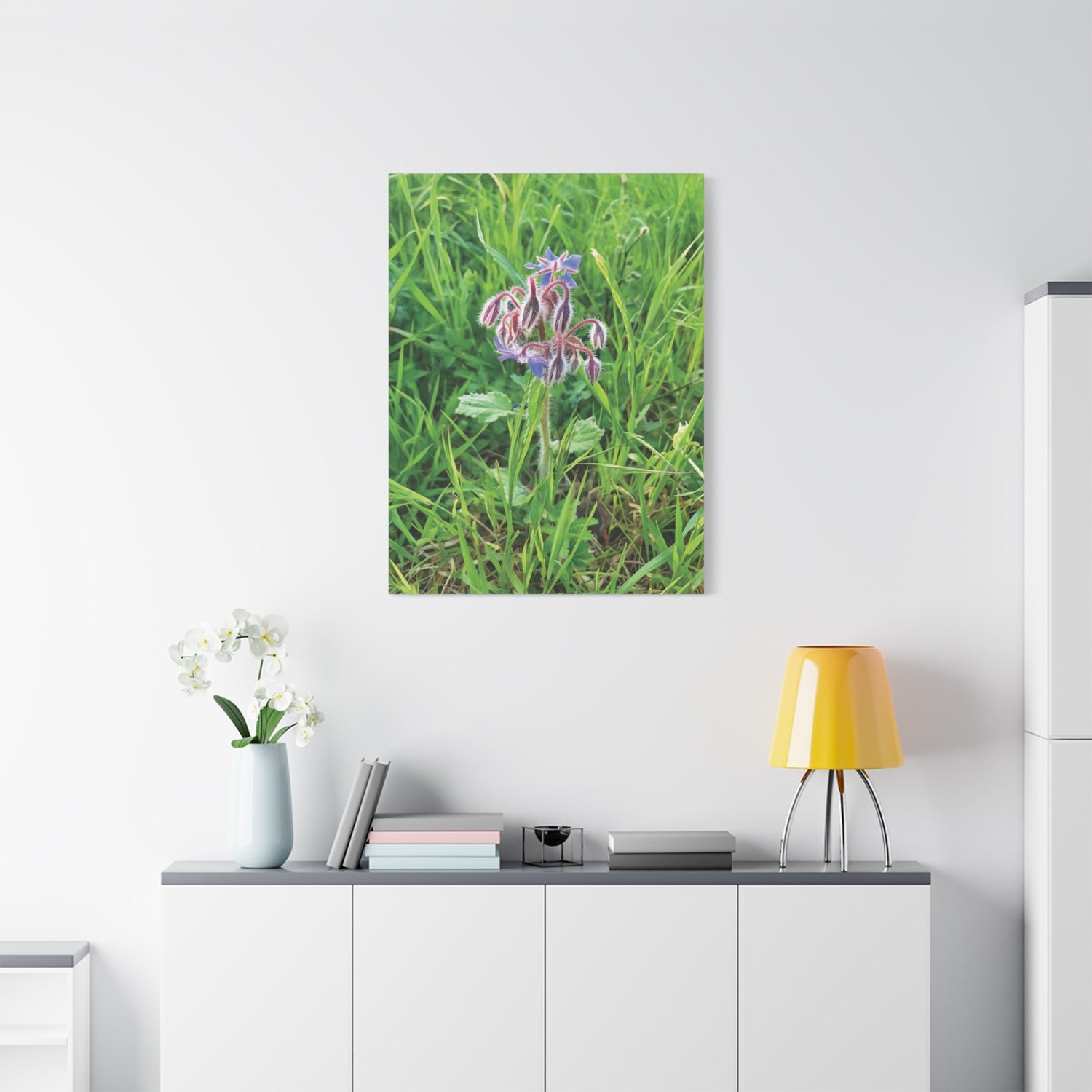 Stretched Matte Canvas - Flower of Borragine