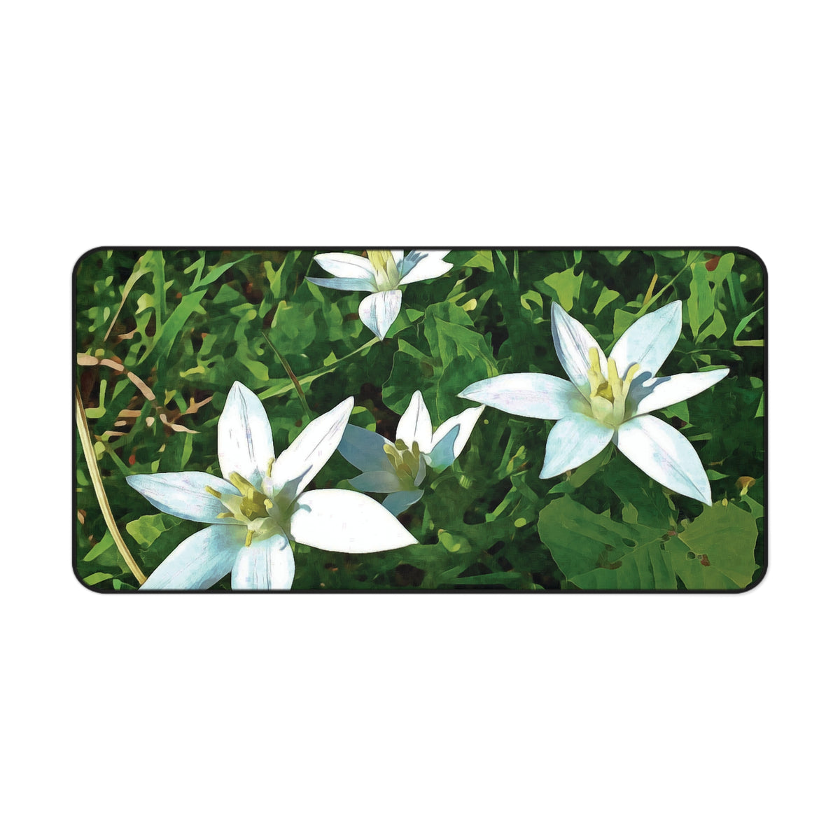 Desk Mat - Flower of Ornithogalum