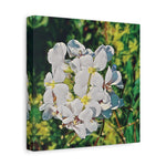 Stretched Matte Canvas - Poly Art - Flower, White