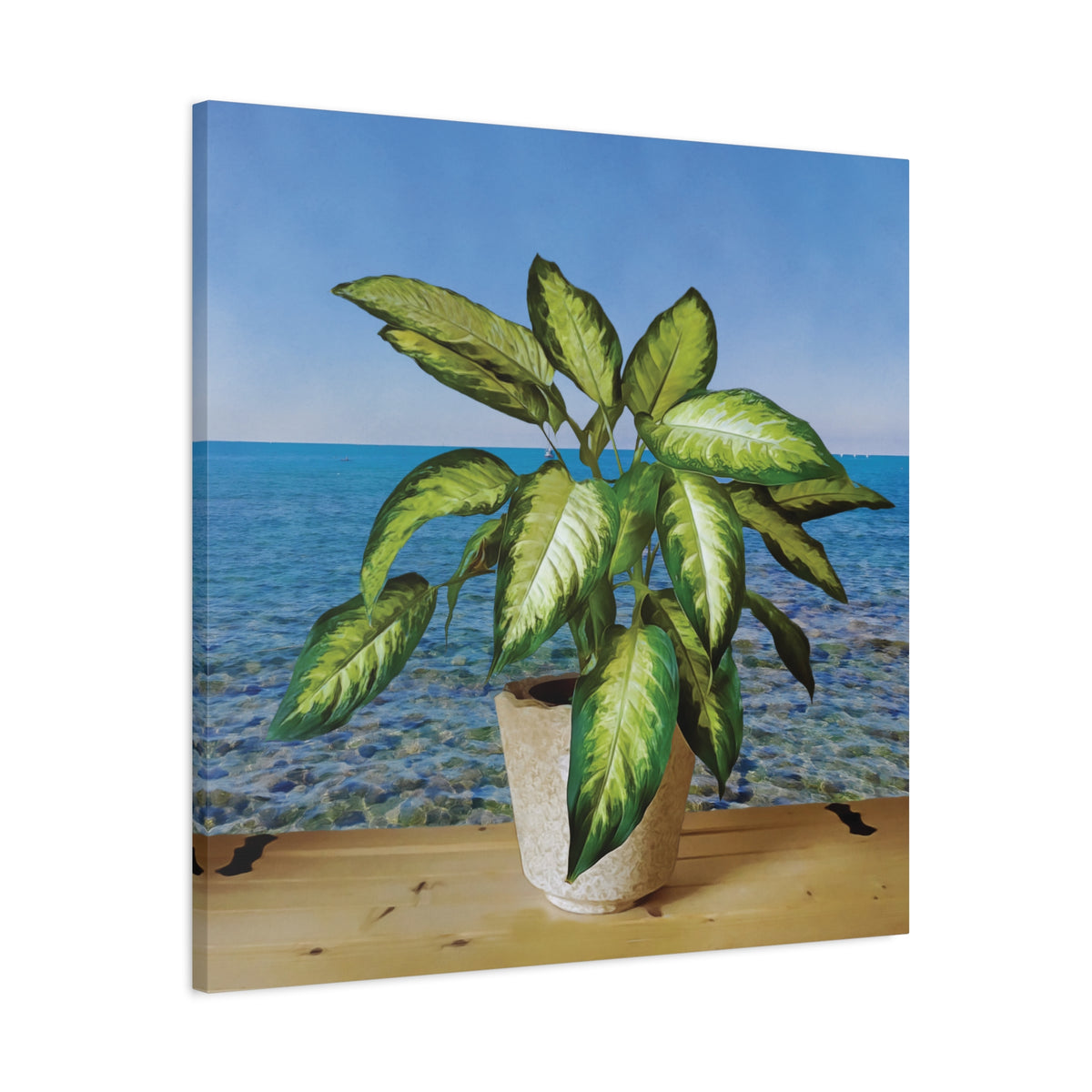 Stretched Matte Canvas - Dieffenbachia plant and Sea Landscape