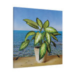Stretched Matte Canvas - Dieffenbachia plant and Sea Landscape