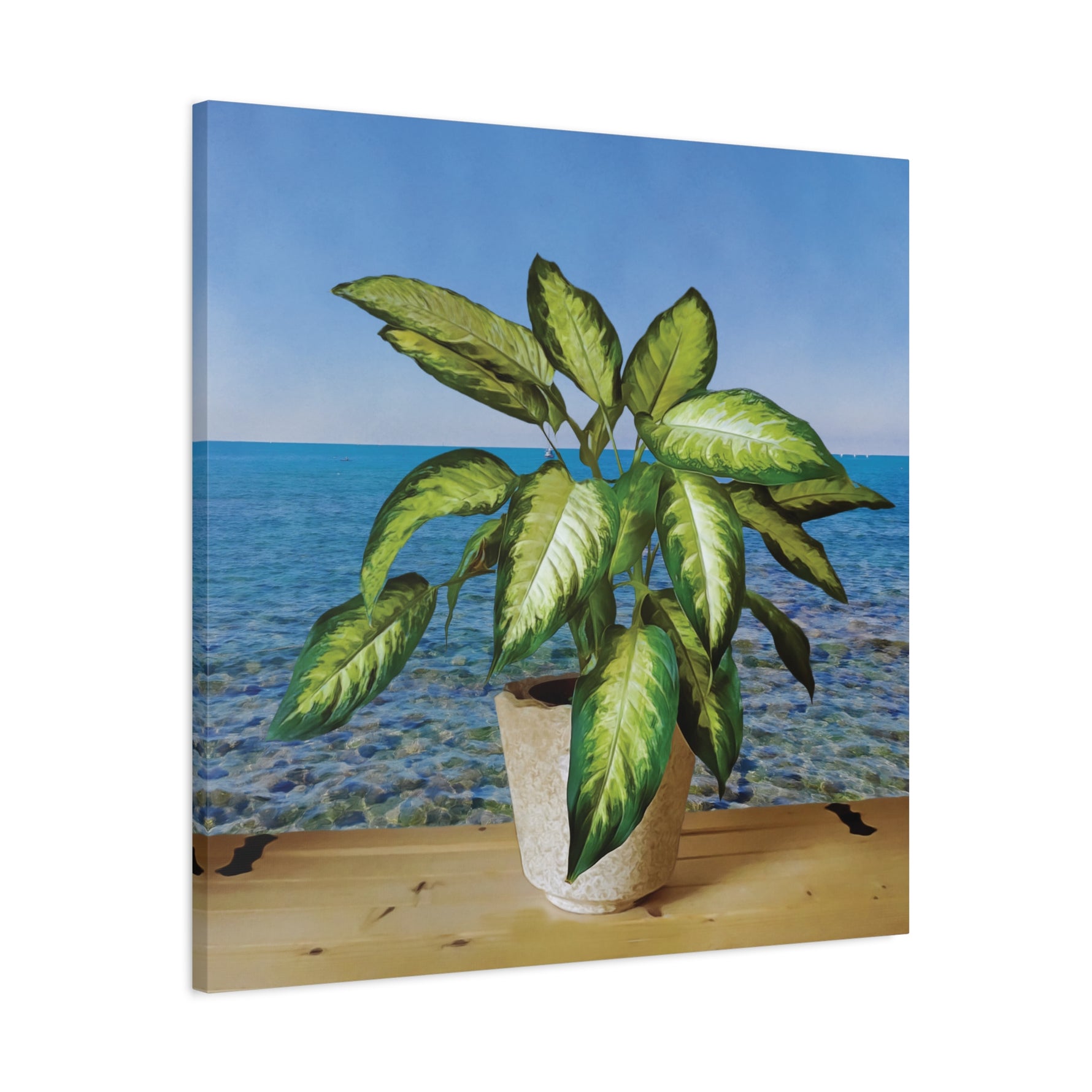 Stretched Matte Canvas - Dieffenbachia plant and Sea Landscape