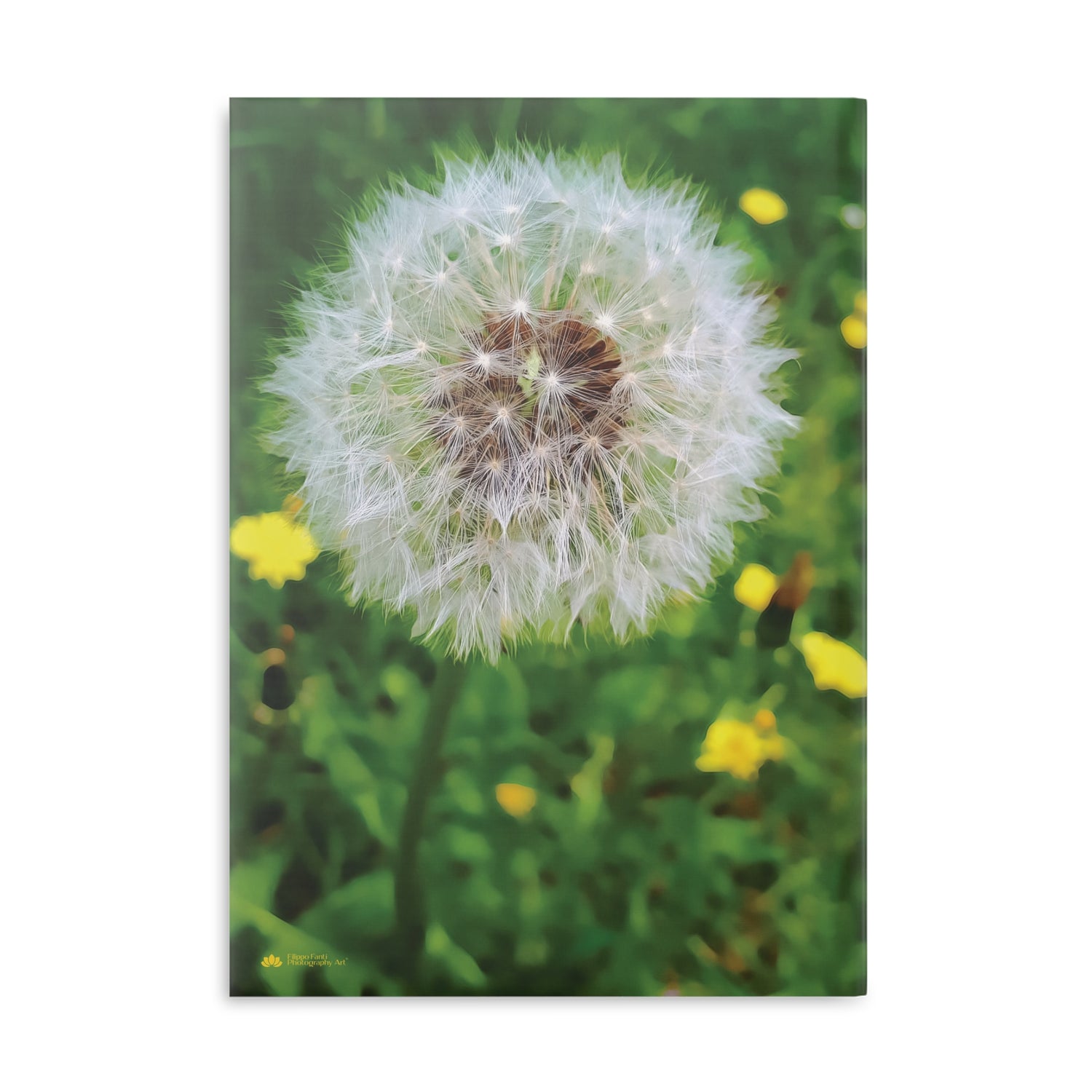 Hardcover Notebook with Puffy Covers - Flower of Dandelion