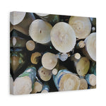 Stretched Matte Canvas - Wooden Trunks (Variant 1)