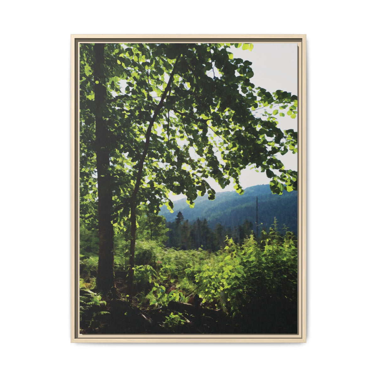Forest | Framed Canvas