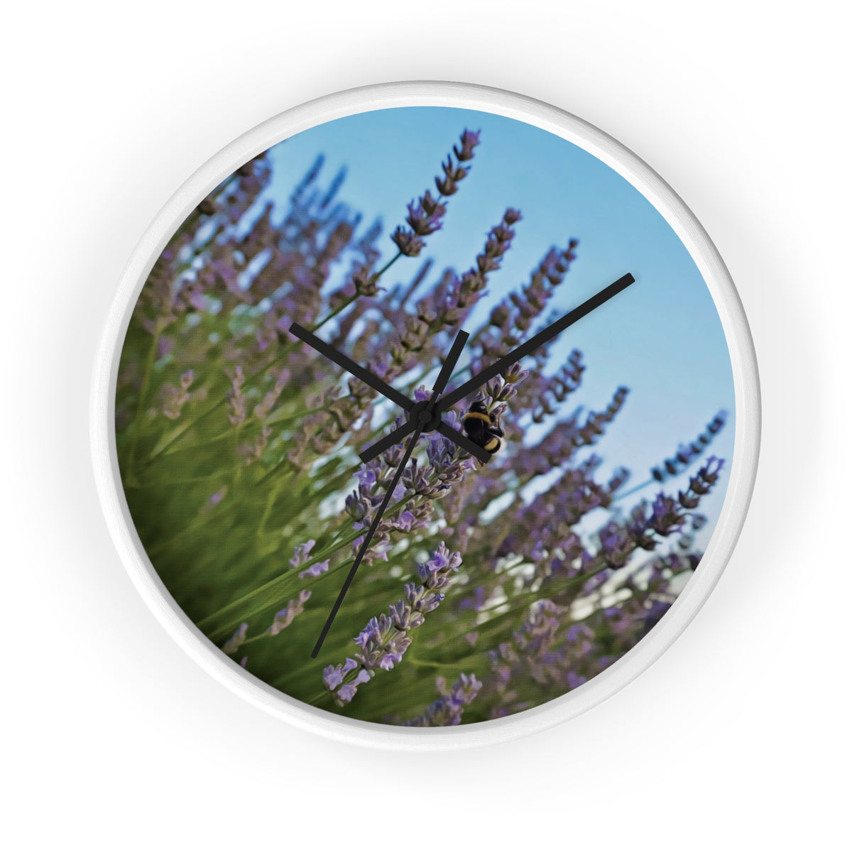 Wall Clock - Flower of Lavender with Bombus Insect (Variant 1)