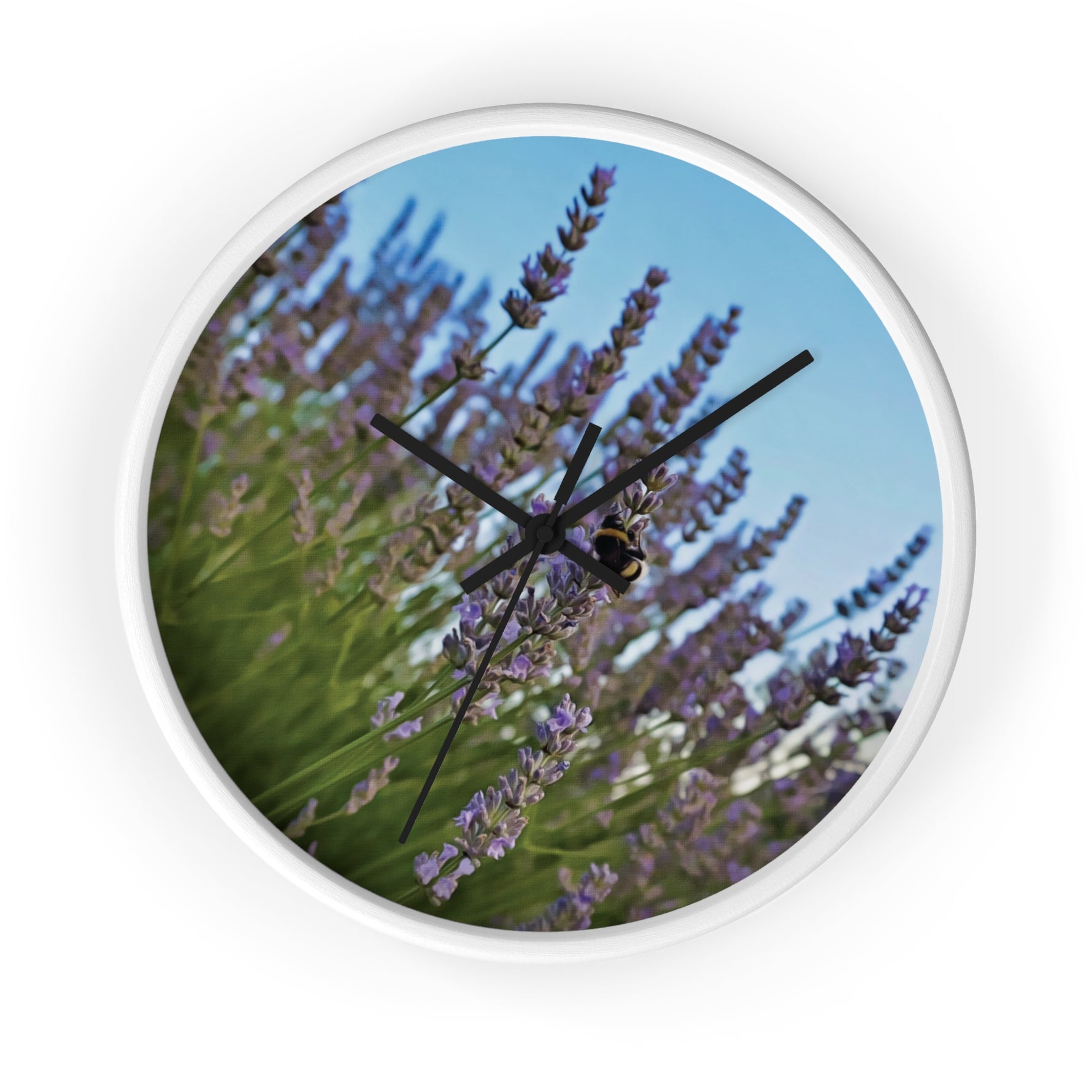Wall Clock - Flower of Lavender with Bombus Insect (Variant 1)