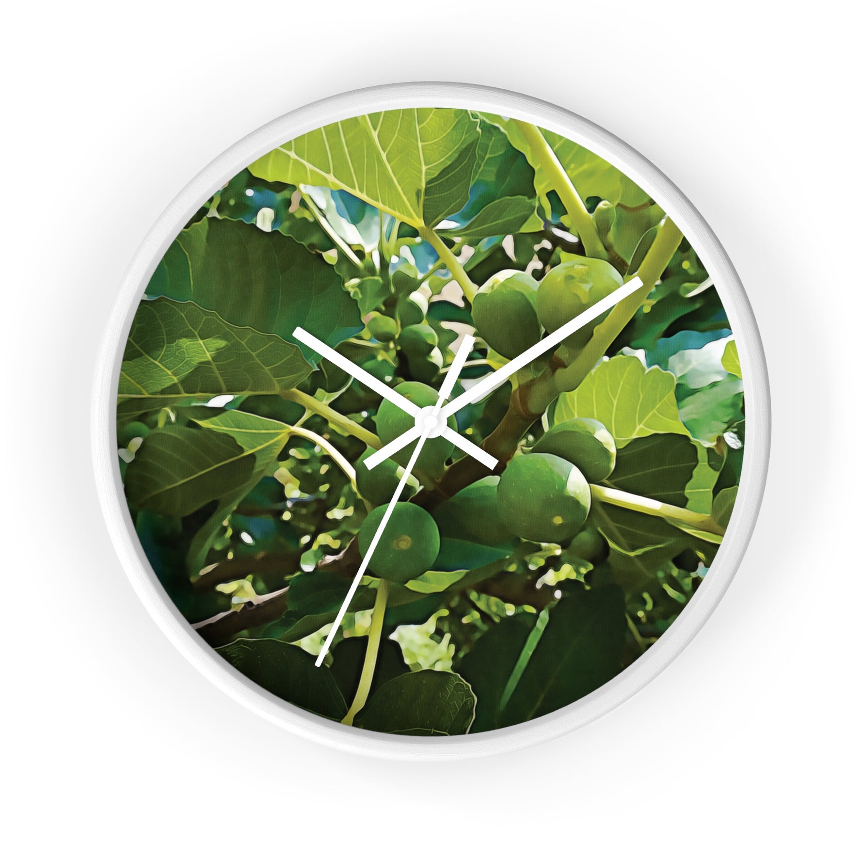 Wall Clock - Fig's Plant, with Fruits and Leaves