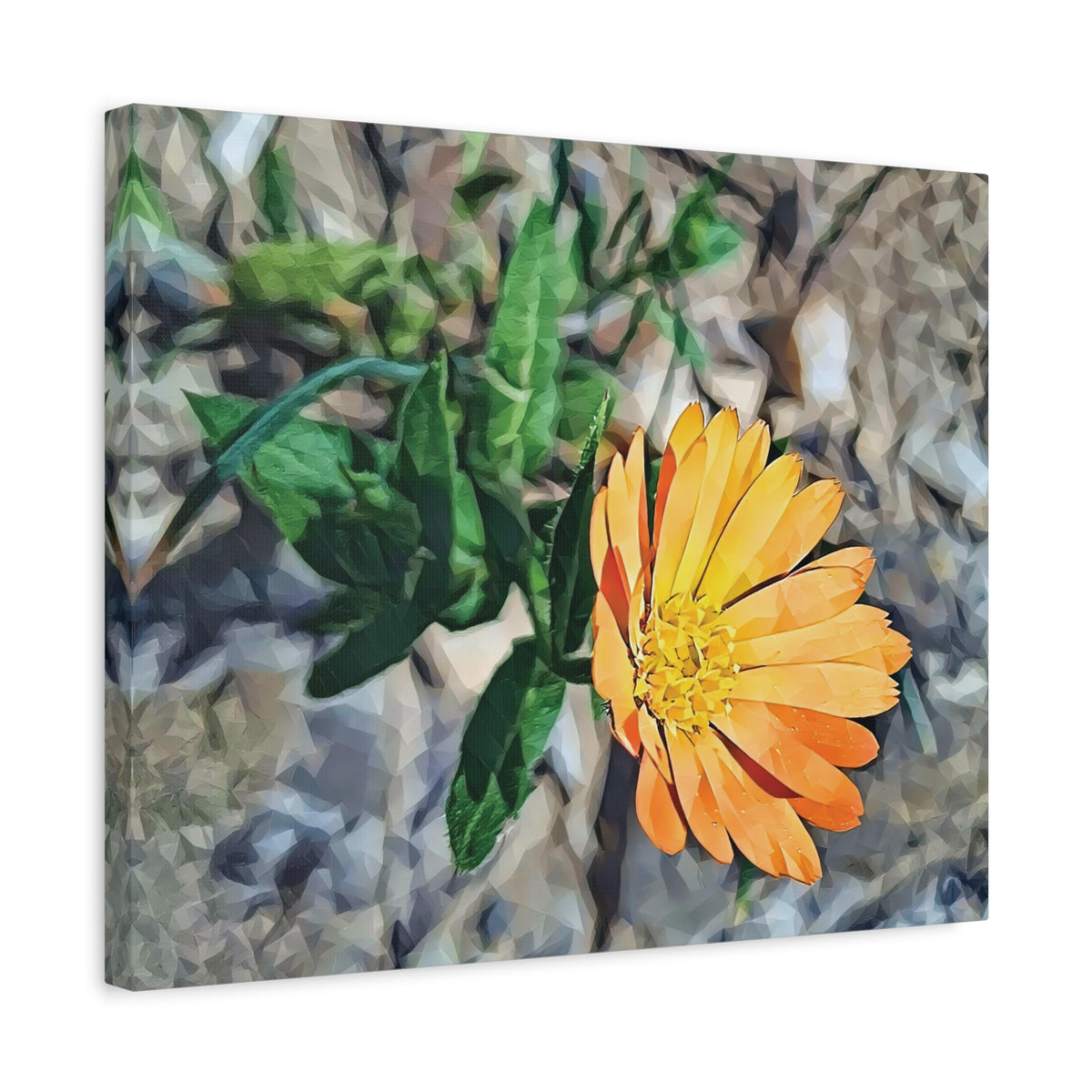 Stretched Matte Canvas - Poly Art - Flower of Calendula (Variant 2)