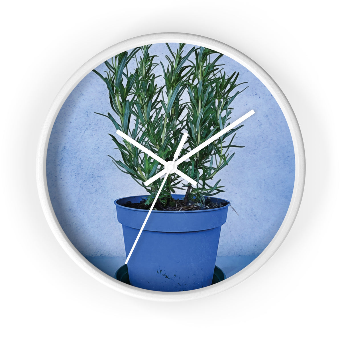 Wall Clock - Rosemary Plant