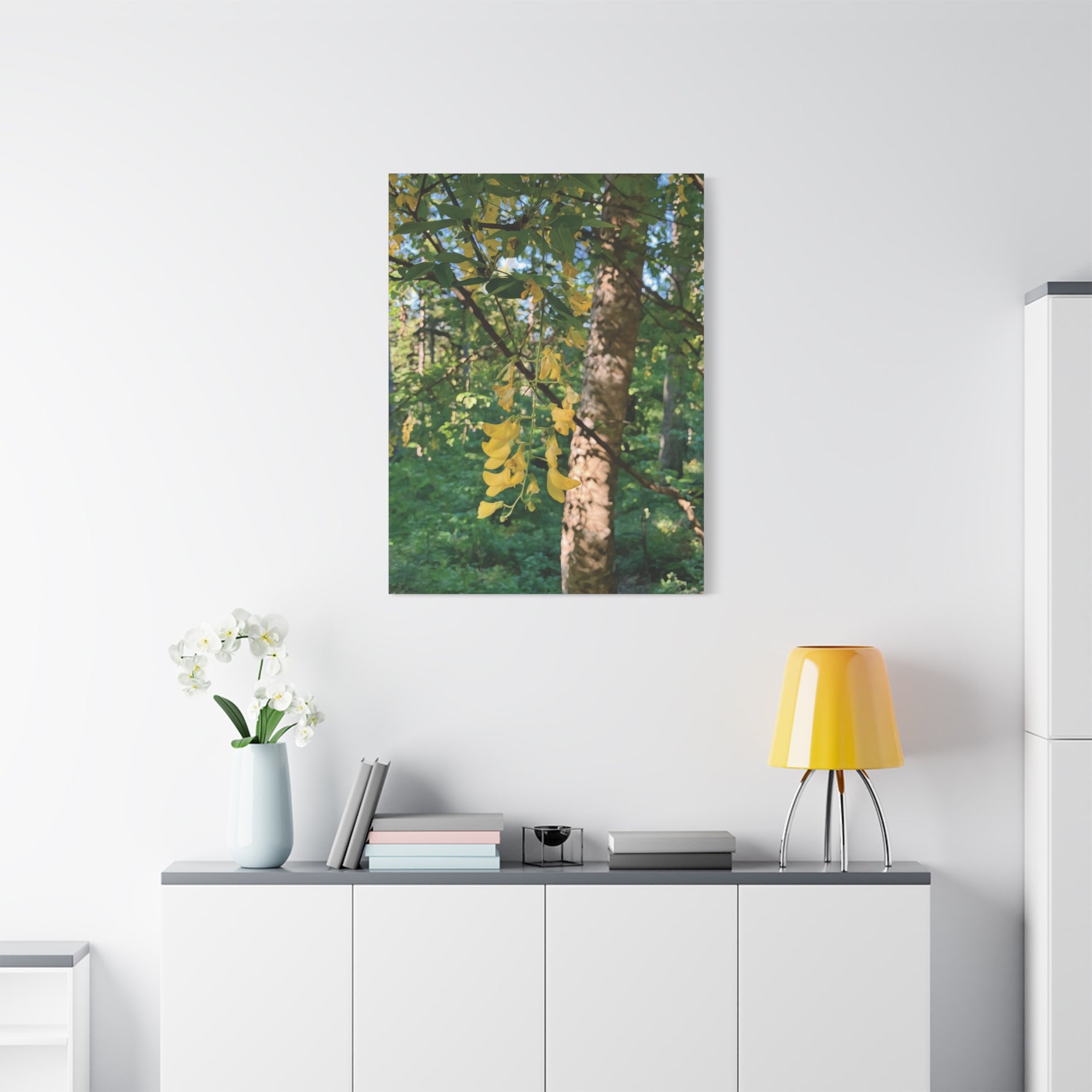 Stretched Matte Canvas - Tree of Laburnum Anagyroides