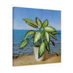 Stretched Matte Canvas - Dieffenbachia plant and Sea Landscape